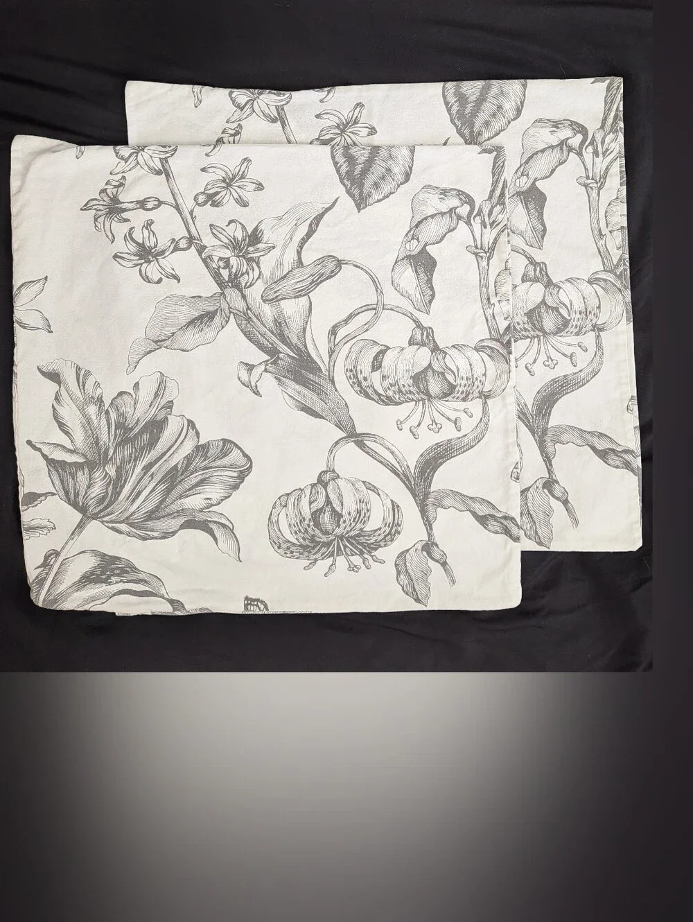 Pottery Barn Full/ Queen Duvet & Euro Sham Set Botanical White Gray Floral Pippa